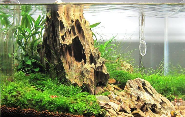 Methods (How to increase pH in aquarium).