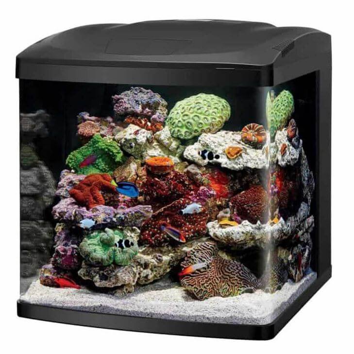 1) Coralife Micro Reef Tanks