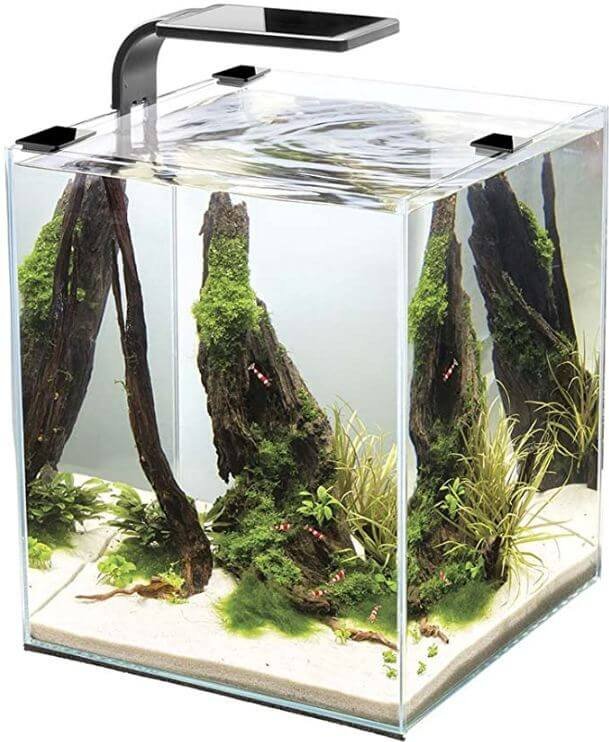 2) Cobalt Aquatics Small Reef Tank