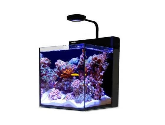 4) Red Sea Nano Tank