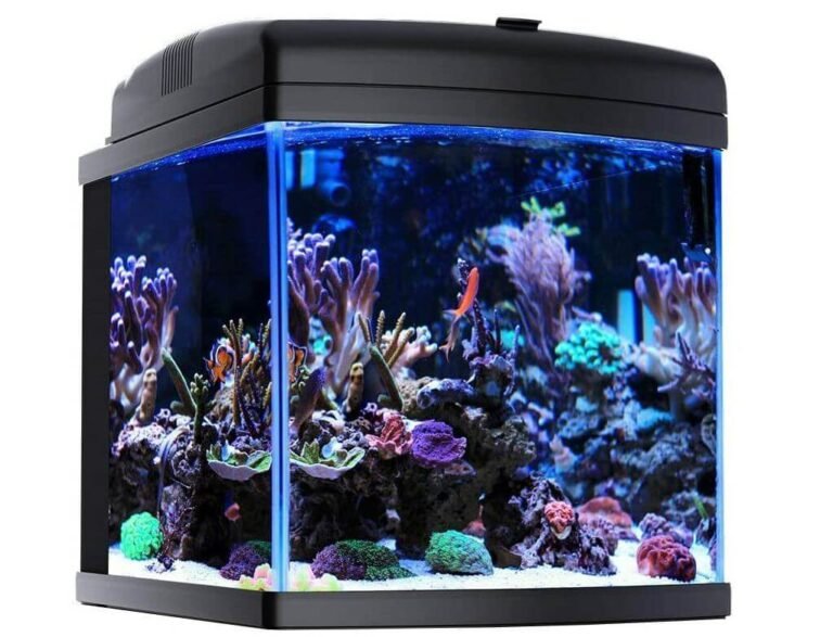 10 Best Nano Reef Tanks Reviewed [Buyers Guide - 2022]