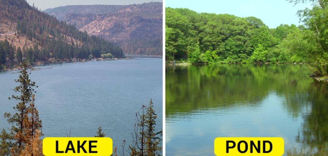 Lake Vs Pond What’s the difference?