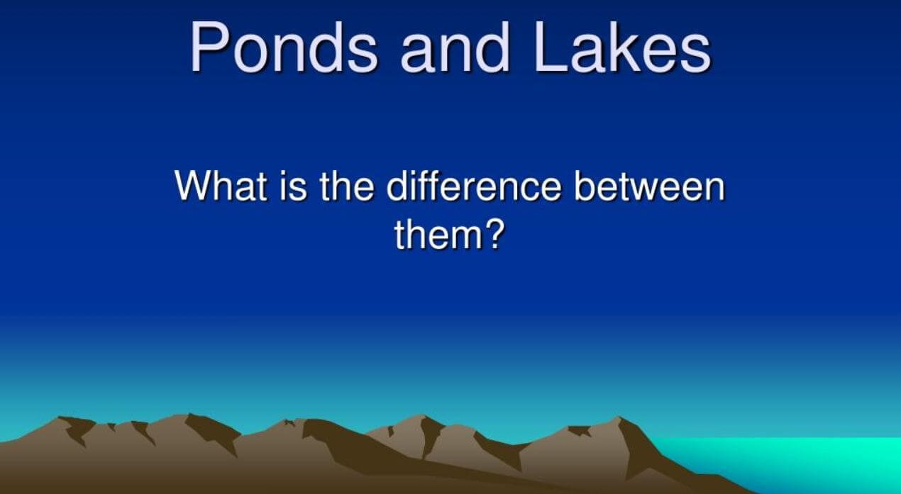What Is The Difference Between A Pond And A Lake?