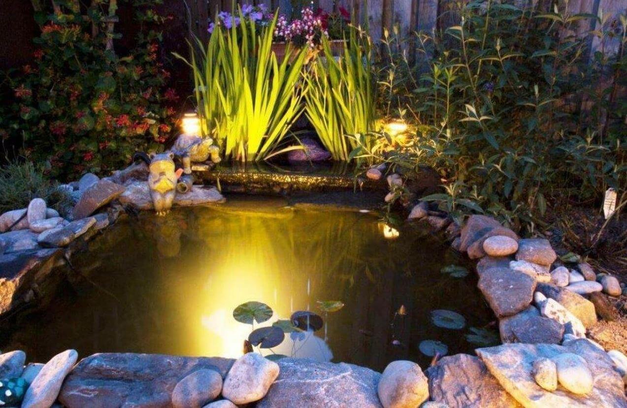 An Ultimate Guide About The 15 Best Pond Lights Of 2022